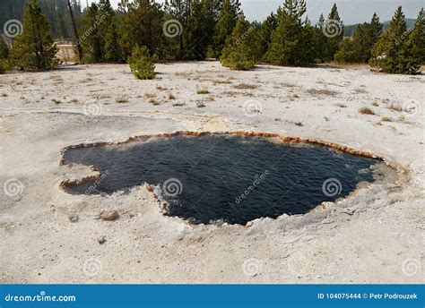 Steam Thermal Pond Yellowstone National Park Stock Photo Image Of