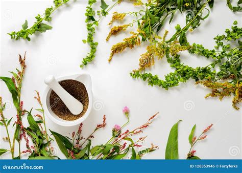 Spa Herbal Recipe Concept Stock Photo Image Of Infusion 128353946