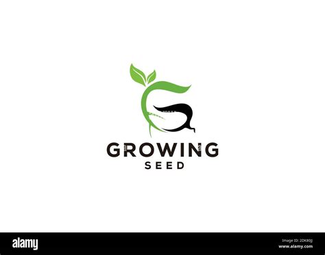 Seed Logo Design