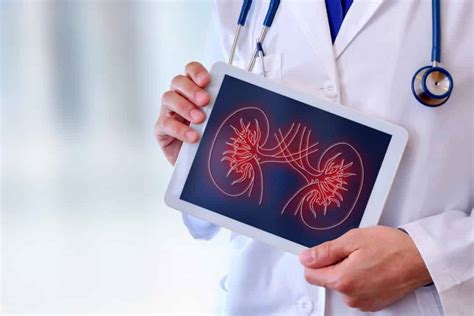 Gammagrafía renal Qué es y en dónde puedes realizar el procedimiento