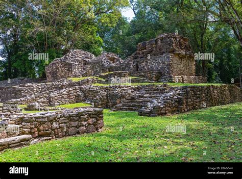 Guatemala regenwald Fotos und Bildmaterial in hoher Auflösung Seite