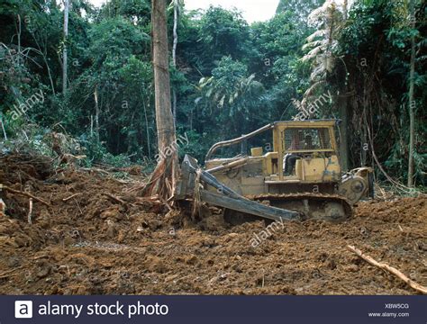 Gabon Forest Destruction Deforestation Banque D Image Et Photos Alamy