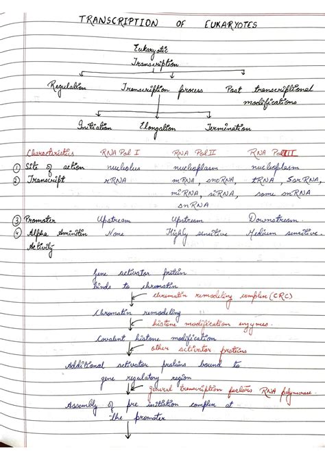 SOLUTION Transcription Of Eukaryotes Studypool