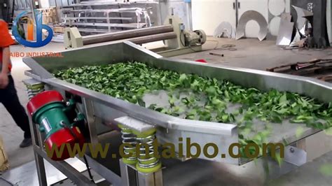 Leaf Vegetable Washing Drying Machine Youtube