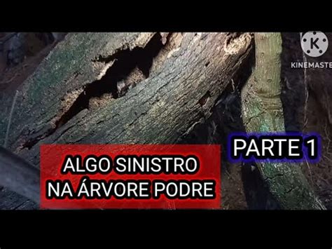 ALGO SINISTRO DENTRO DO TRONCO PODRE DA ÁRVORE CAÇADA NA FLORESTA