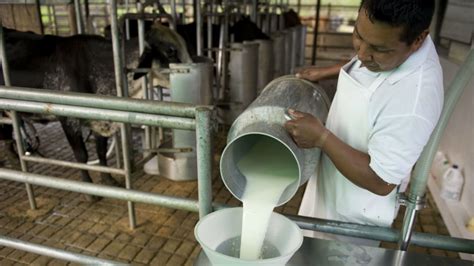 Digitalizan el proceso de pasteurización de la leche