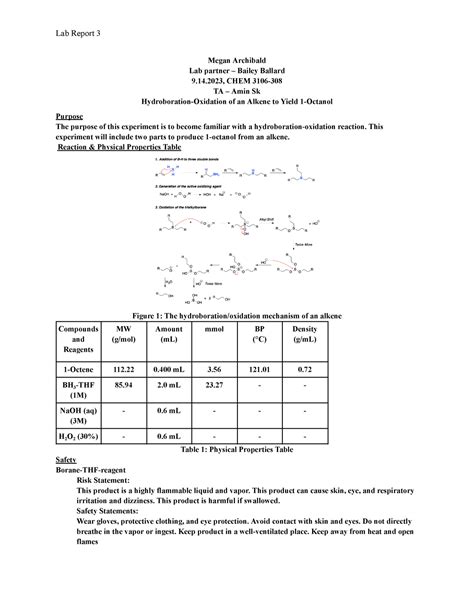 O Chem Lab Lab Megan Archibald Lab Partner Bailey Ballard