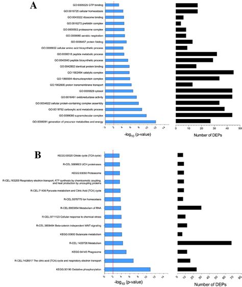 Gene Ontology Go Kyoto Encyclopedia Of Genes And Genomes Kegg And