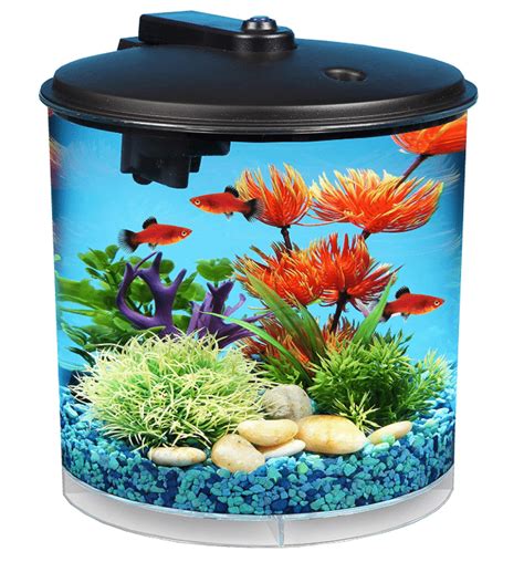 Top 7 Best 360 Cylinder Fish Tanks 2025 Reviewed IBMK