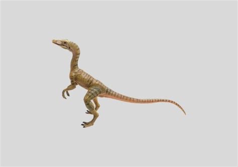 Compsognathus Dinopedia Alles Ber Dinosaurier Und Mehr