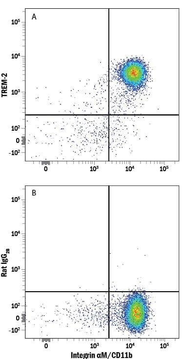 Human Mouse TREM2 Alexa Fluor 647 Conjugated Antibody FAB17291R 025 R