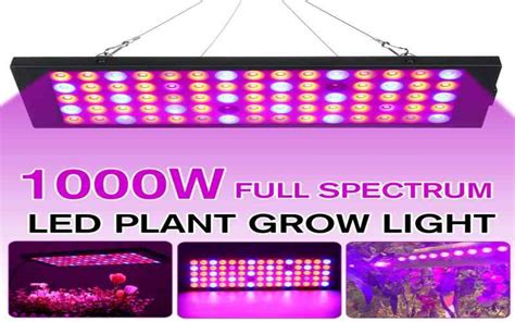 1000 Watt Led Grow Lights For Beginners Editors Choice