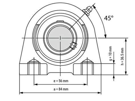 IBB Flenslager Staand UCPA205 25mm LagerKoning Nl