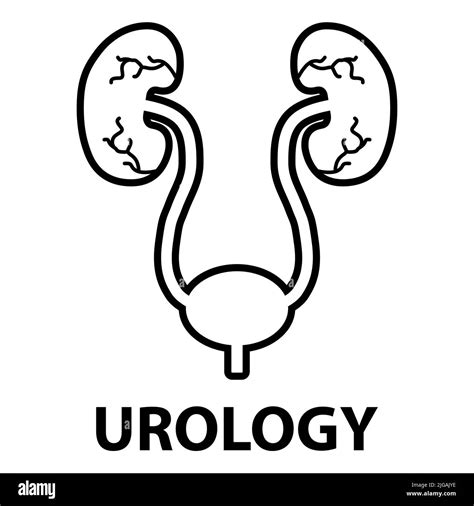 Urology Health Human Icon Anatomy Medical Body Bladder Sign Biology