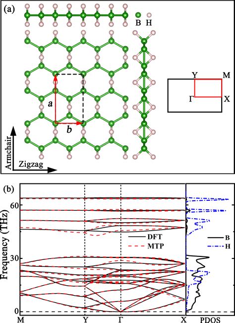 Complex Role Of Strain Engineering Of Lattice Thermal Conductivity In