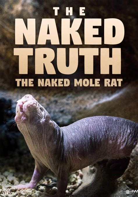 Naked Molerat Natures Weirdest Superhero Streaming