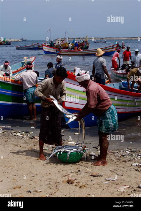 Fisherman Life India High Resolution Stock Photography And Images Alamy