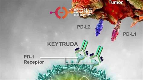 重磅抗癌药k药在中国获批上市，与o药分庭抗礼