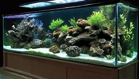 Aquarium Lighting Guide: Types, Selection, and Maintenance for Thriving Tanks