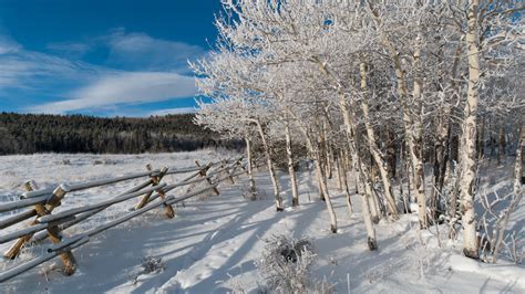 Snowshoeing in Colorado: low impact, high reward adventure | Advnture