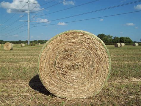 Hay Grazer For Sale Tx Round Bales