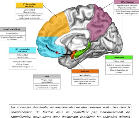 Figure From Etude Des M Canismes D Actions Neurobiologiques De La