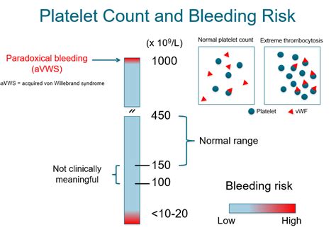 What Is The Correlation Between Platelet Count And Bleeding Risk The