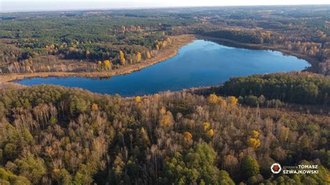 Jezioro Dzwonowskie Park Krajobrazowy Puszcza Zielonka Nasza Zielonka