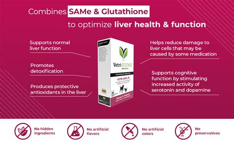 Vetriscience Vetri Same Liver Supplements For Dogs And Cats