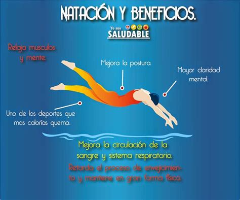 Nutricionalmente Los Beneficios De Practicar Nataci N