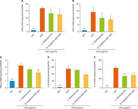 Inhibitory Effect On Inflammatory Responses Of Macrophages And Anti