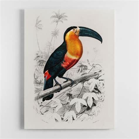 Toucan Wall Art