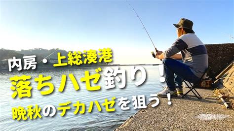 【内房・上総湊港でハゼ釣り】のどかな漁港の堤防でのんびり楽しむ、晩秋の落ちハゼ釣り！ Youtube