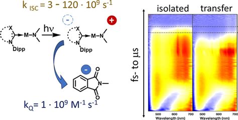 Intra And Intermolecular Charge Transfer Dynamics Of CarbeneMetal