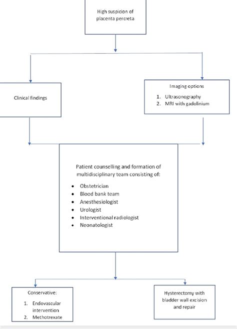 Approach For A Patient With Placenta Percreta Download Scientific Diagram