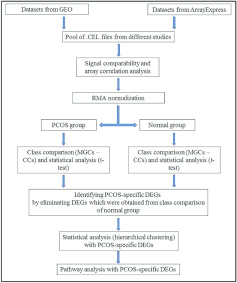 Pcos Hormone Levels Chart - Minga