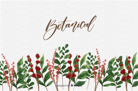 Free Vector | Watercolor botanical background