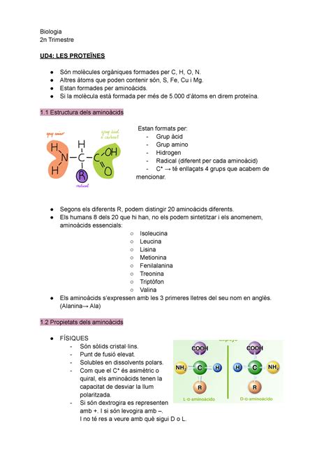 Resum Bio N Trimestre Ud Les Prote Nes S N Mol Cules Org Niques