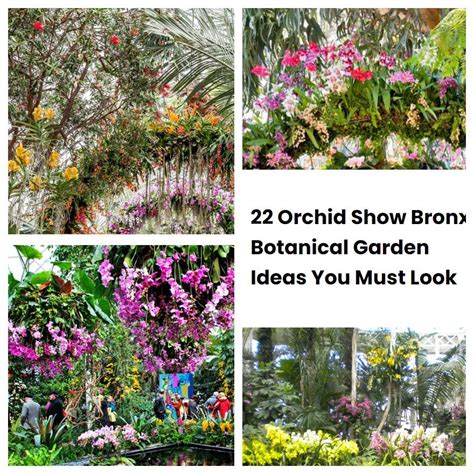 Orchid Show Bronx Botanical Garden Ideas You Must Look Sharonsable