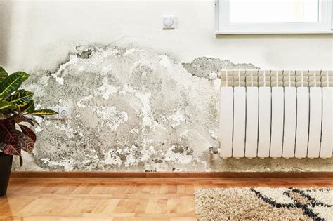 How To Dry Out Walls After Water Damage In 10 Simple Steps