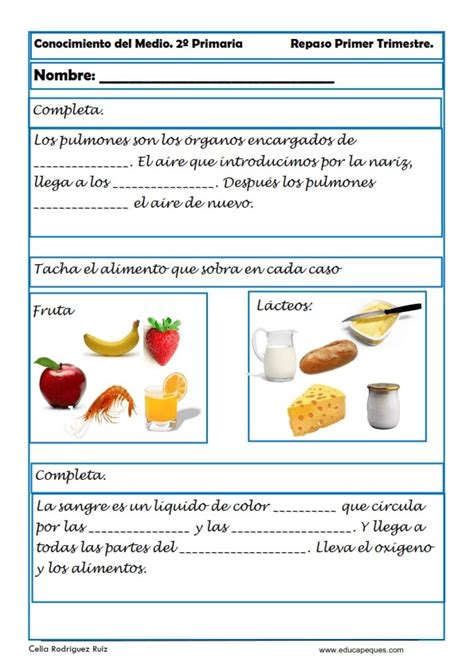 Ejercicios De Conocimiento Del Medio Para Segundo Primaria Hot Sex