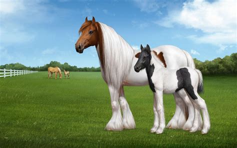 Cute Baby Horses Wallpapers - Top Free Cute Baby Horses Backgrounds ...