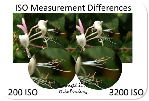 What is ISO? - Mike Finding Photography