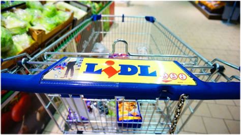 Lidl Bag La Raft De Joi Decembrie Patru Produse Pentru Cas Pe