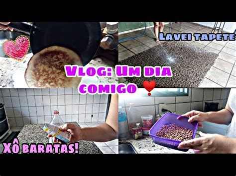 Vlog Um Dia Comigo Cuidei Do Lar Lavei Tapete Dica Para Acabar