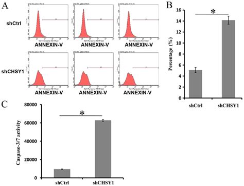 Chsy1 Promoted Proliferation And Suppressed Apoptosis In Colorectal