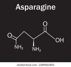 Asparagine Amino Acid Formula Structure Chemical Stock Vector (Royalty ...