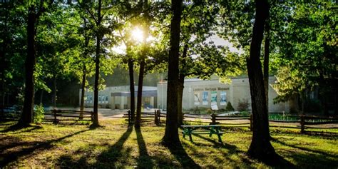 Lambton Heritage Museum PA Day Event: Get Medieval! - County of Lambton