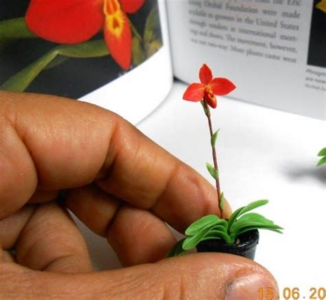 Idéias Coisas artesanato e miniaturas Flores estranhas Flores