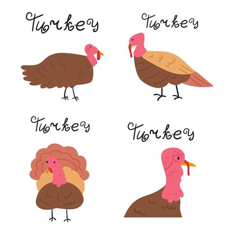 Premium Vector Set Of Turkeys Hand Drawn Flat Vector Illustrations